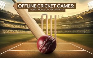 Offline Cricket Games